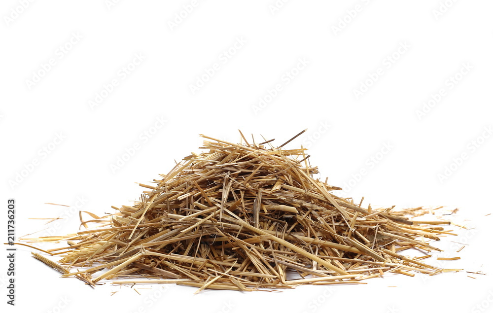 Straw pile isolated on white background and texture