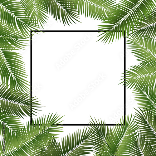 Vector summer poster framed with green palm leaves on white background.