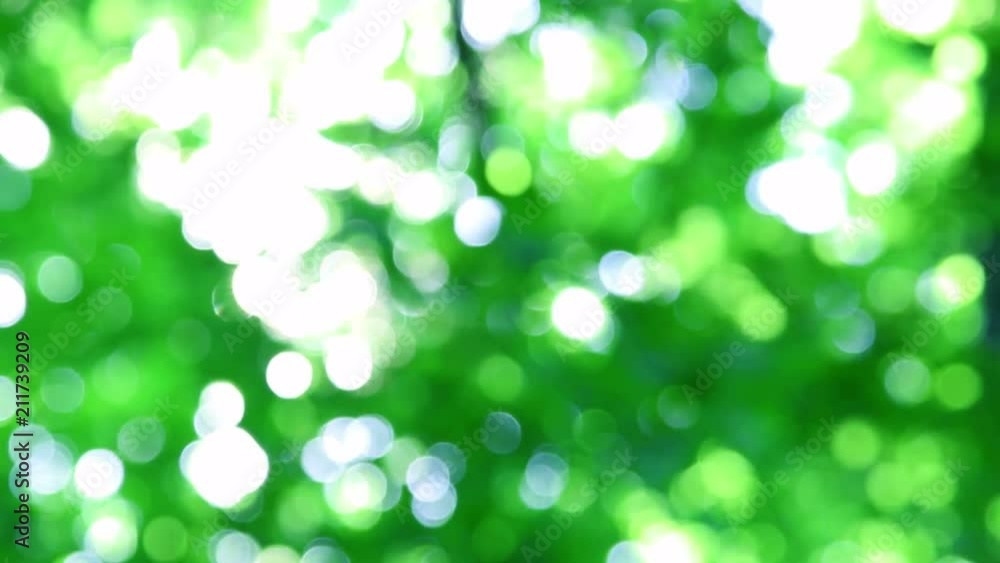 Defocused bokeh lights and lens flare, abstract light background, 4K UHD.
Defocused bokeh lights and lens flare, abstract light background, 4K UHD.