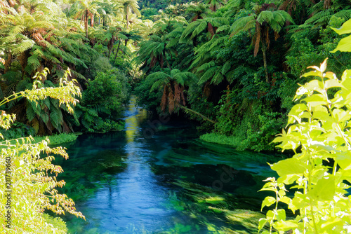 River surrounded in lush green scenery in New Zealand