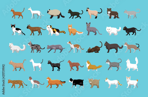 Various Cats Side View Cartoon Vector Illustration