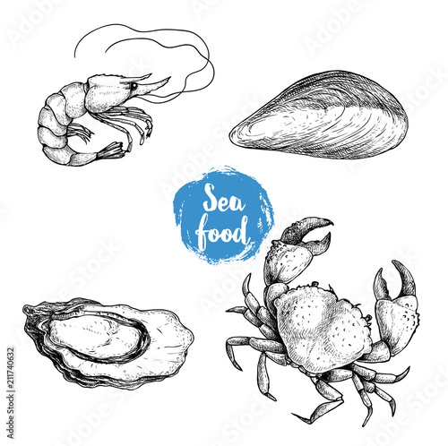 Seafood sketches set. Fresh shrimp, mussel, oyster and crab. Sea market products collection. Vector illustration isolated on white background.