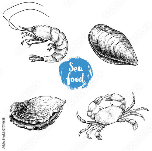 Seafood sketches set. Fresh shrimp, closed mussel and oyster, crab. Sea market products collection. Vector illustration isolated on white background.