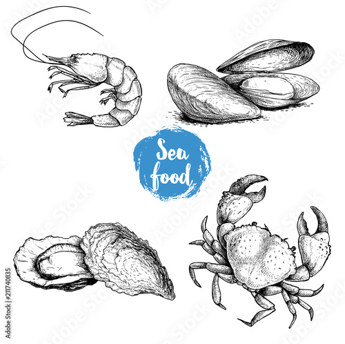 Seafood sketches set. Fresh shrimp, mussels and oysters, crab. Sea market products collection. Vector illustration isolated on white background.