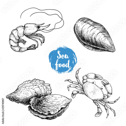 Seafood sketches set. Fresh shrimp, mussel, oysters, crab. Sea market products collection. Vector illustration isolated on white background.