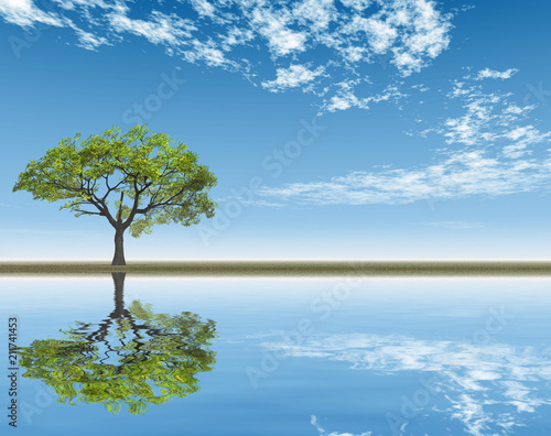 samotne-drzewo-odbite-w-wodzie
