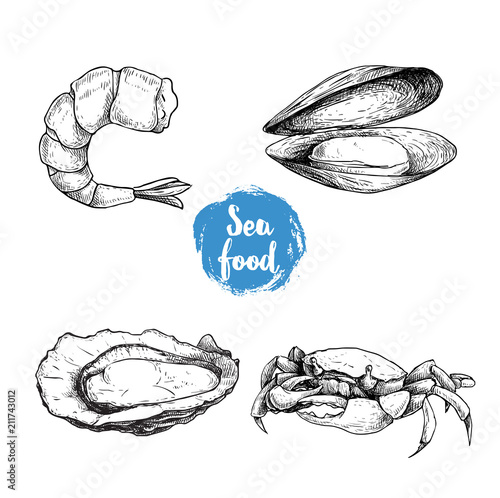 Seafood sketches set. Cooked grilled shrimp, opened mussel and oyster, crab. Sea market products collection. Vector illustration isolated on white background.