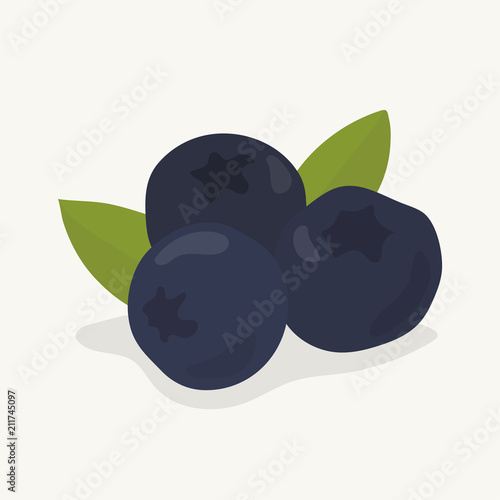 Hand drawn blueberry fruit illustration