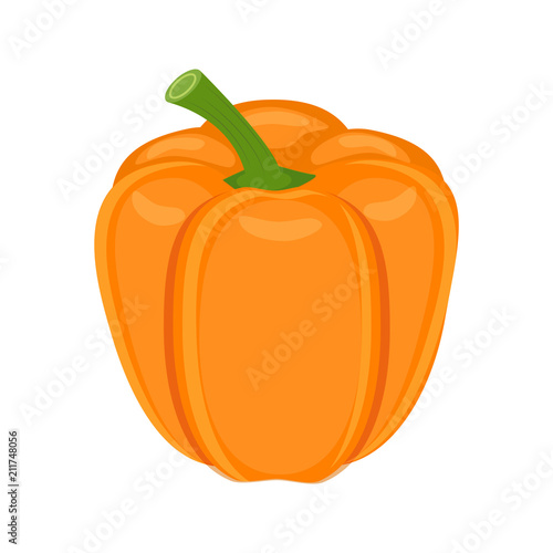 Orange bell pepper vector illustration isolated on white backgro