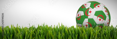 Composite image of football in algeria colours