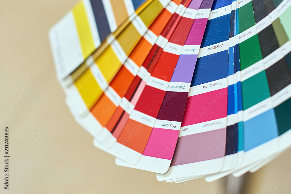 Close-up of color wheel or palette for choosing paint tone, samples of different paints