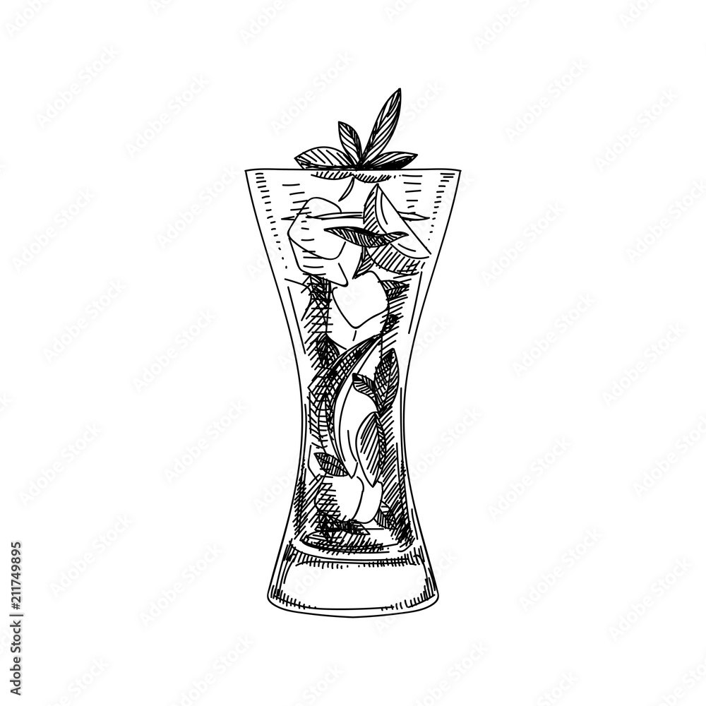 vector hand drawn coctail Illustration