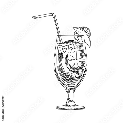 vector hand drawn coctail Illustration