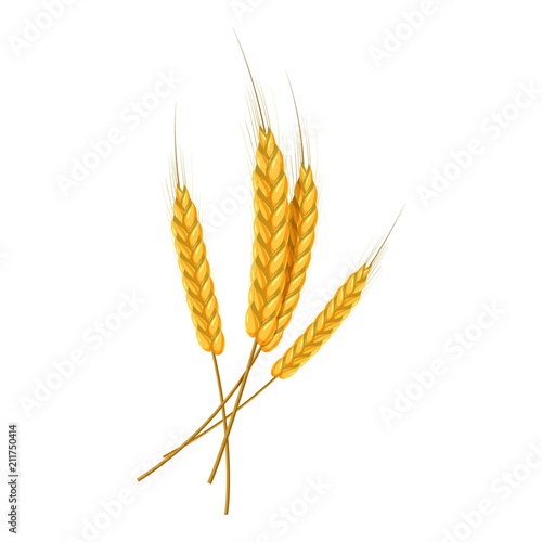 Four wheat ears icon. Cartoon illustration of wheat ears vector icon for web design