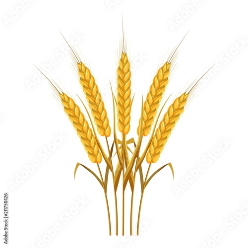 Five wheat ears icon. Cartoon illustration of wheat ears vector icon for web design