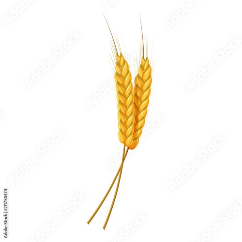 Two wheat ears icon. Cartoon illustration of wheat ears vector icon for web design