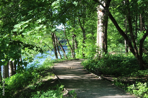 Footpaths among the trees in the Botanical garden of Moscow on the river Bank.