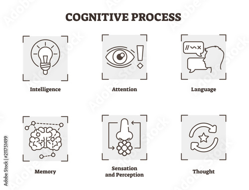 Vector illustration set of cognitive process. Scheme with intelligence, attention, memory, sensation and perception types. Psychology basics icon collection.