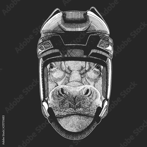 Photography Hippo, Hippopotamus, behemoth, river-horse Wild animal wearing hockey helmet