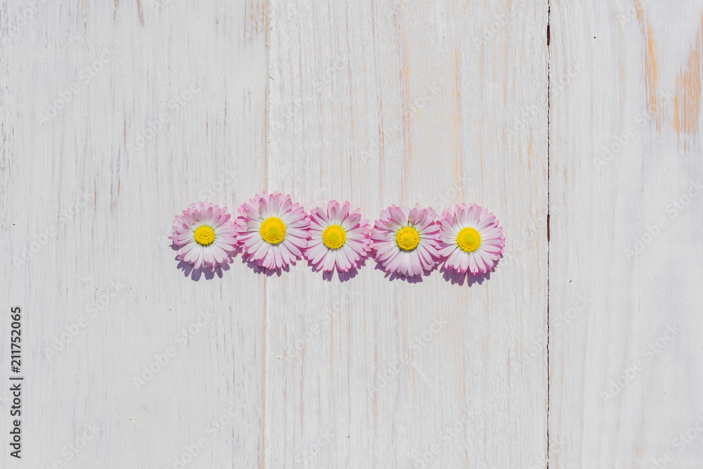 Obraz premium pink Daisy flowers on wooden table background with copy space