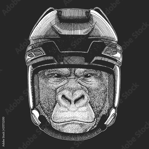 Canvas Print Wild animal wearing hockey helmet. Print for t-shirt design.