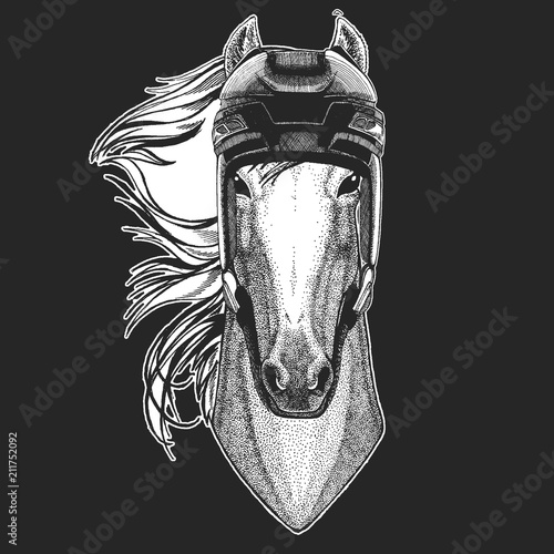 Photography Horse, hoss, knight, steed, courser Wild animal wearing hockey helmet