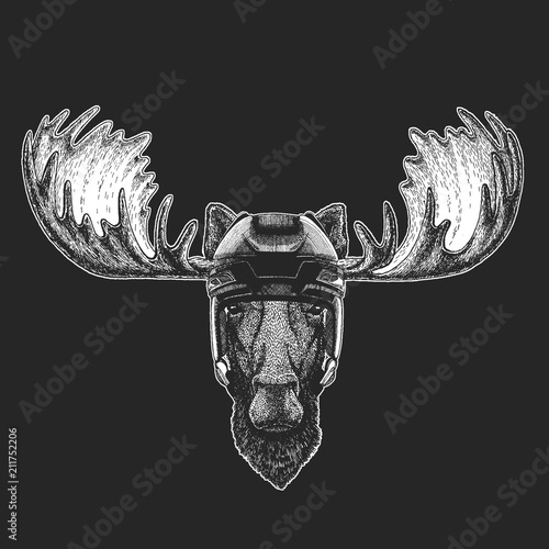 Moose, elk Wild animal wearing hockey helmet. Print for t-shirt design.