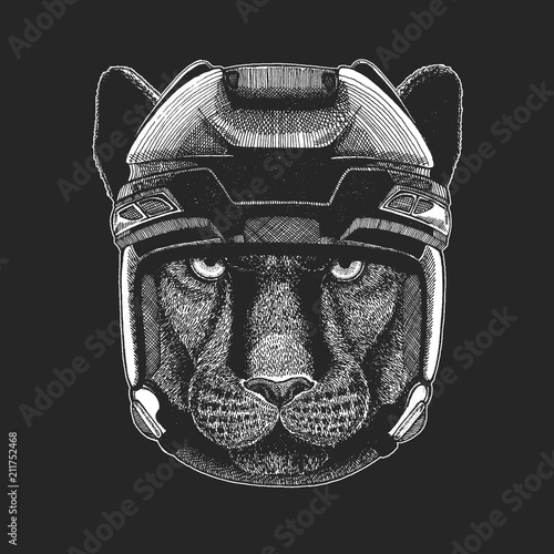 Photography Wild animal wearing hockey helmet. Print for t-shirt design.