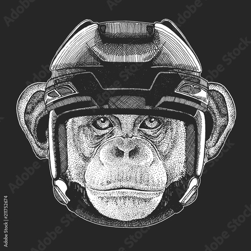 Canvas Print Wild animal wearing hockey helmet. Print for t-shirt design.