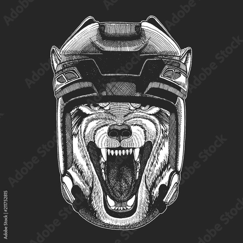 Photography Wild animal wearing hockey helmet. Print for t-shirt design.