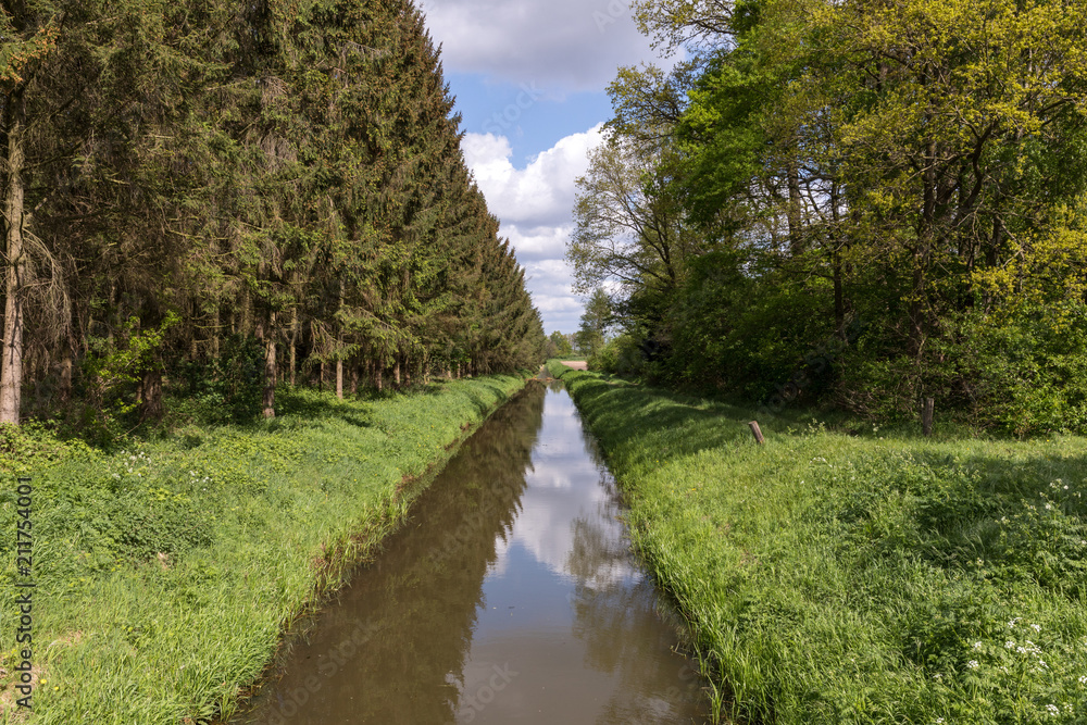 Bachlauf im Wald Bachlauf im Wald