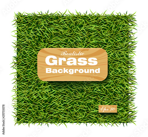 Grass background Vector realistic. Layout template illustrations
