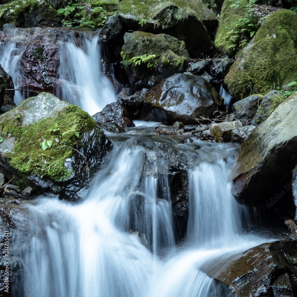 Fototapeta premium 養老の滝１