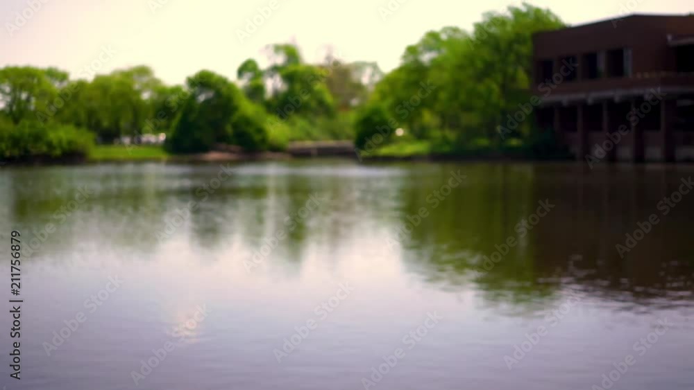 Pan shot of a lake and surrounding nature on a corporate campus. Pan shot of a lake and surrounding nature on a corporate campus.