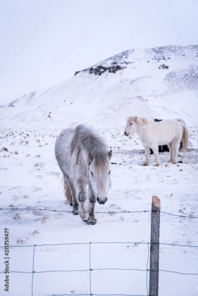 Naklejka premium Aproching