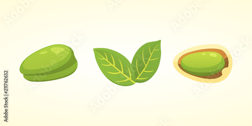 Set pistachio nut vector illustration in cartoon style. Organic food.