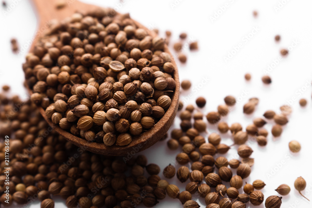 coriander seeds on a white background, essential oil coriander seeds on a white background, essential oil