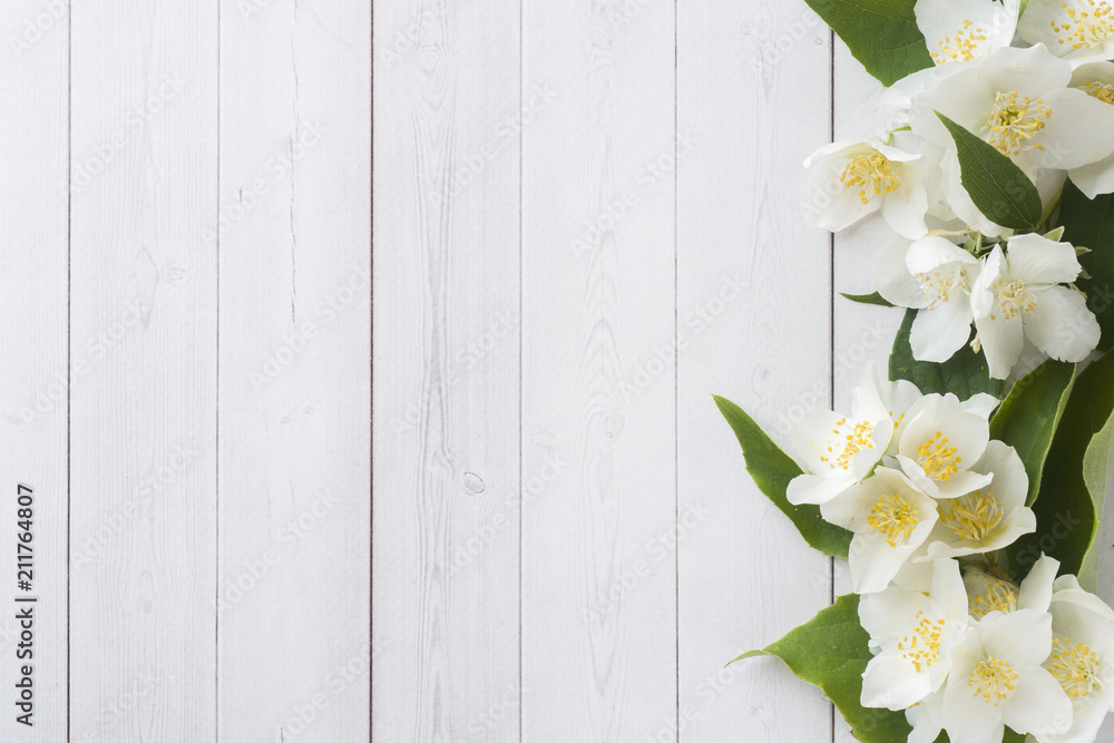 Jasmine flowers on a light background. Flower frame. Copy space for text Jasmine flowers on a light background. Flower frame. Copy space for text