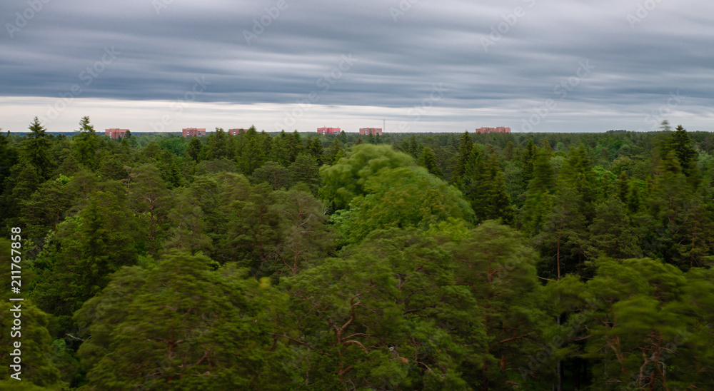 Die Landschaft von Narva Joesuu