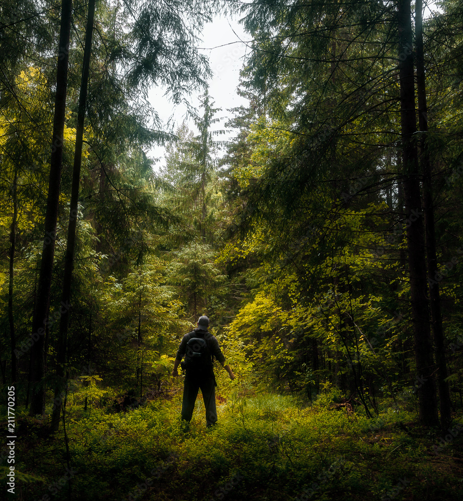 Fototapeta premium men in the forest
