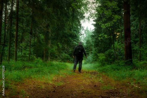 forest walk © Mareks