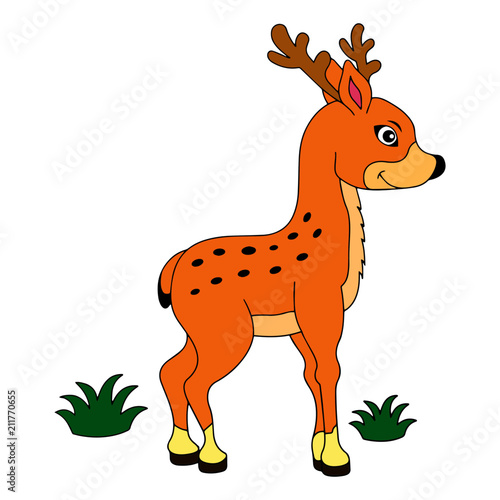 Deer cartoon illustration isolated on white background for children color book