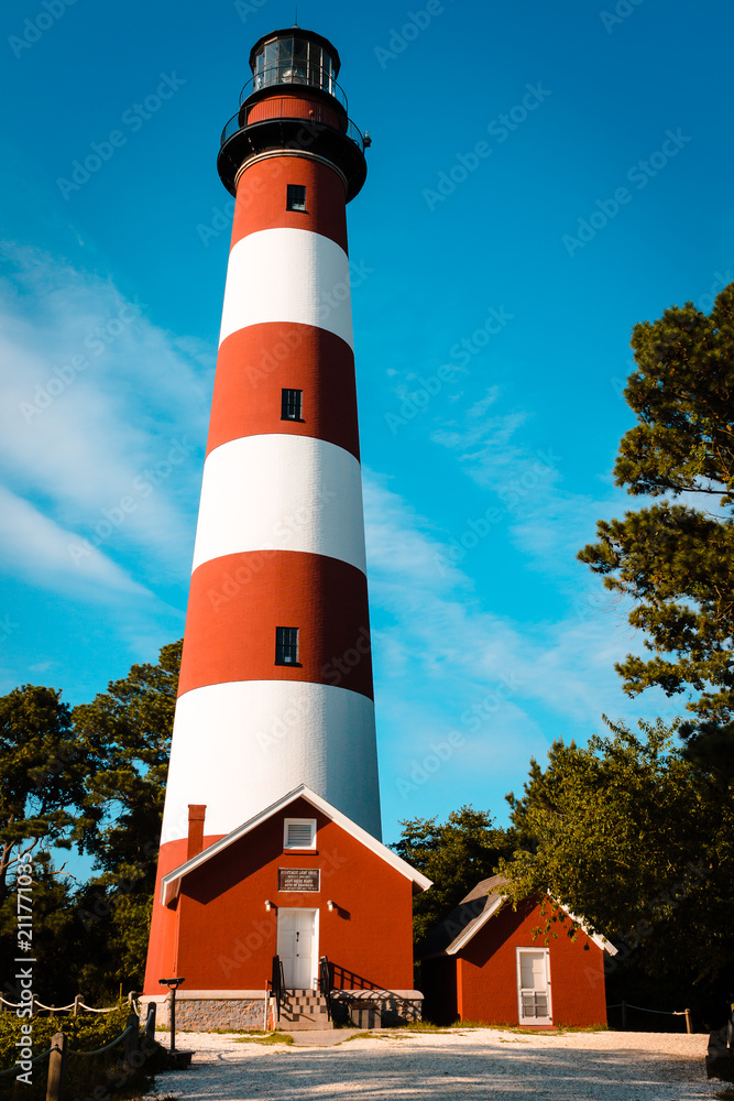 portrait view of the lighthouse on Assateague Island in Virginia portrait view of the lighthouse on Assateague Island in Virginia