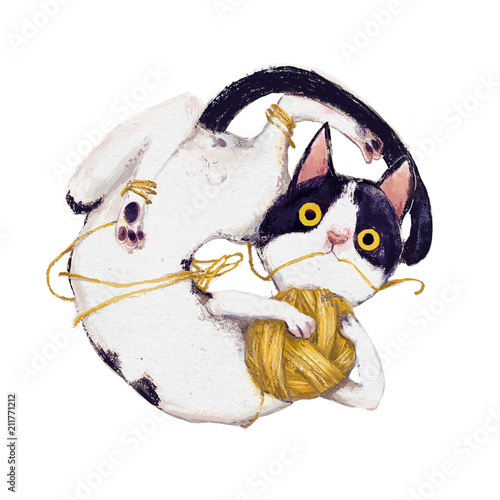 Fototapeta Naklejka Na Ścianę i Meble -  cute plaing cat