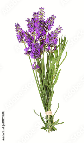 Lavendelbl  ten  lavender