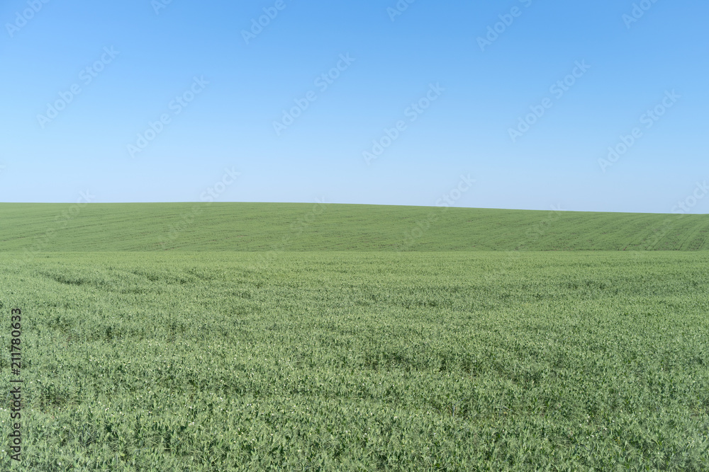 Agricultural landscape in Podolia region of Ukraine Agricultural landscape in Podolia region of Ukraine