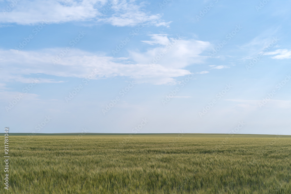 Agricultural landscape in Podolia region of Ukraine
