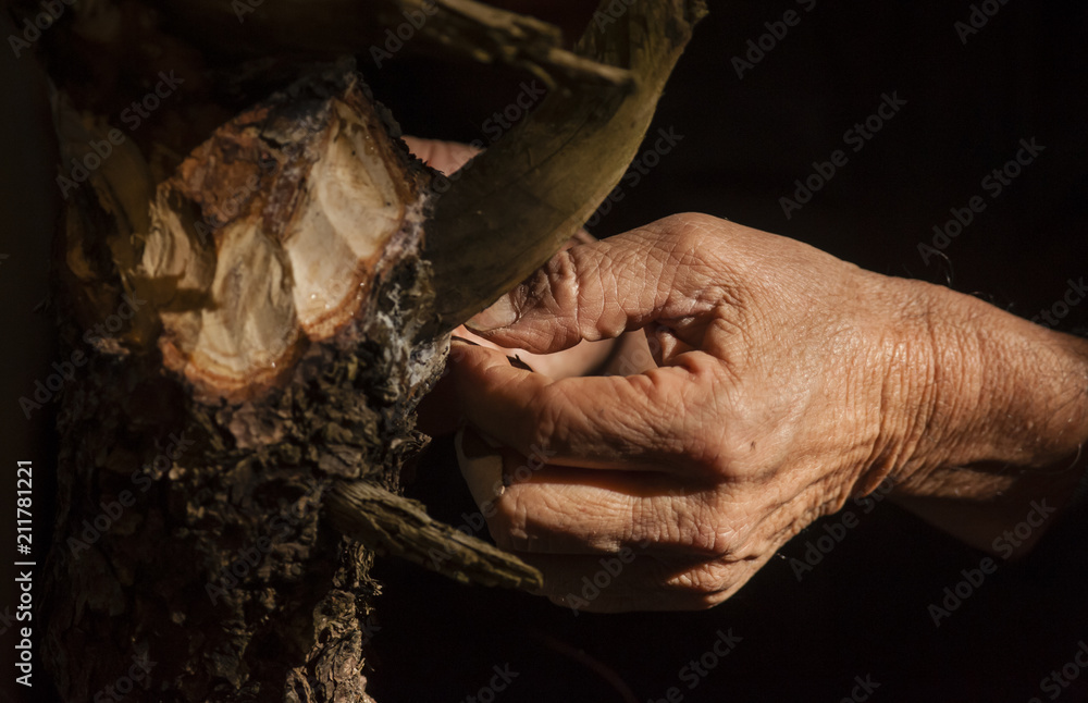 Old man hand working on wood Old man hand working on wood