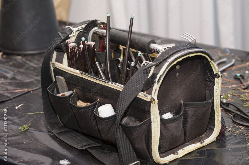 Obraz premium Bonsai tree tools.