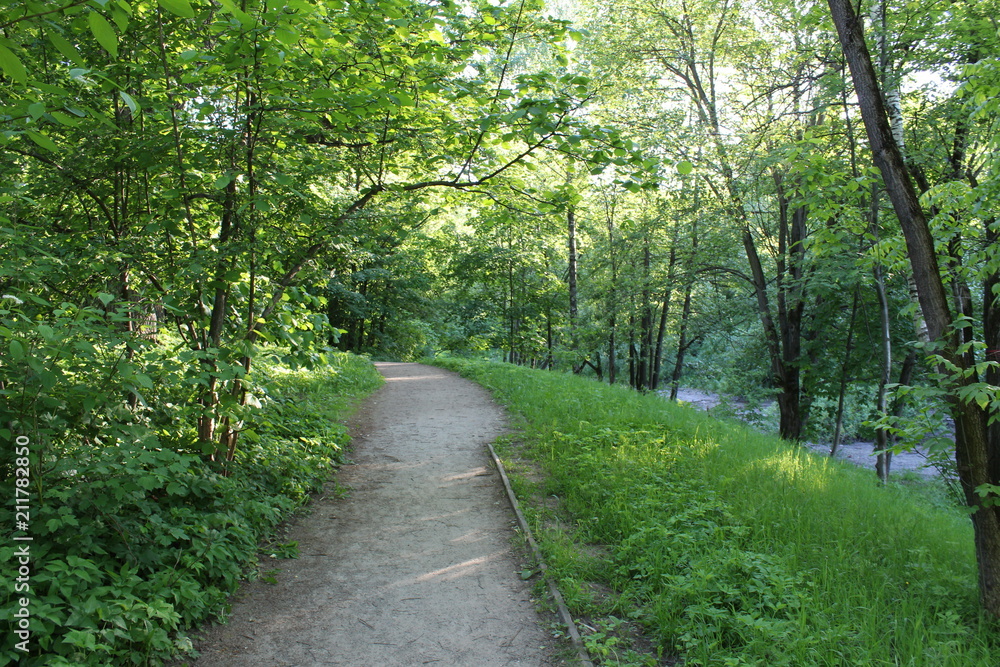 Footpaths among the trees in the Botanical garden of Moscow on the river Bank.